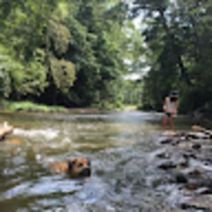 Meet your Posher, Rhett